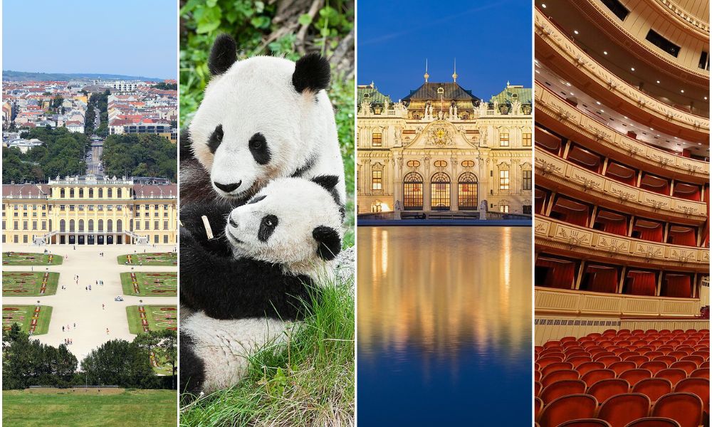 Sightseeing In Vienna